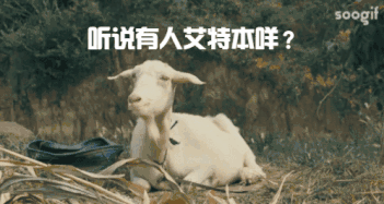 1656465868399686.jpg 80ae109d1be4f9f5711b2ac686d6f4f1.jpg