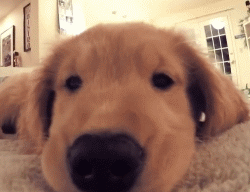 1656465966200362.jpg 66ac8c0297d2f00d3c0d4e79506b1da1.jpg