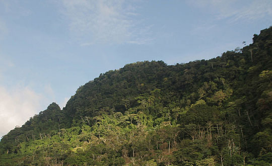 起名禁忌最忌讳的字