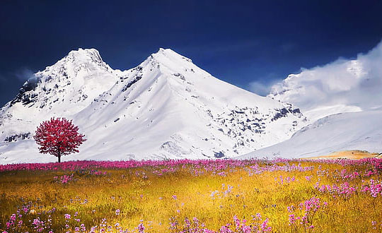 最新最特别的女宝宝乳名