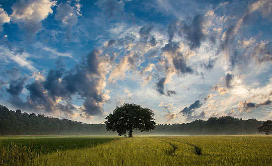 有气质简姓女宝宝名字大全