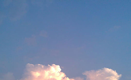 崔贞允T2G80F3相关图片 崔贞允37M5O38相关图片