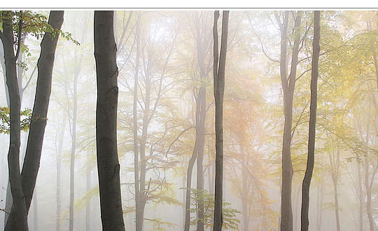 蔡小岑HH392V1相关图片 蔡小岑UUGI7MI相关图片