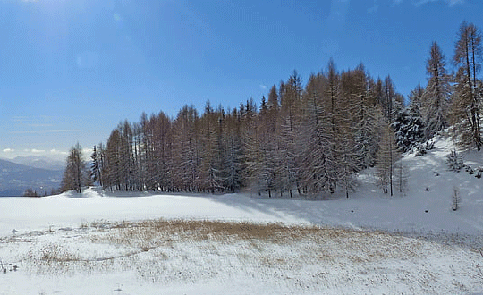 古诗词取名男孩霸气