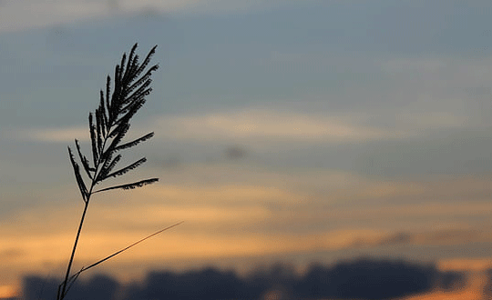 好听的萧姓男孩名字大全2020