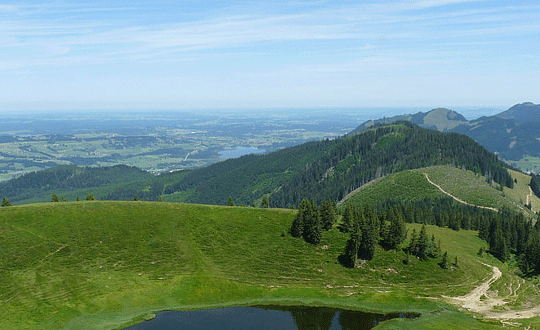带蕾字的女孩名字