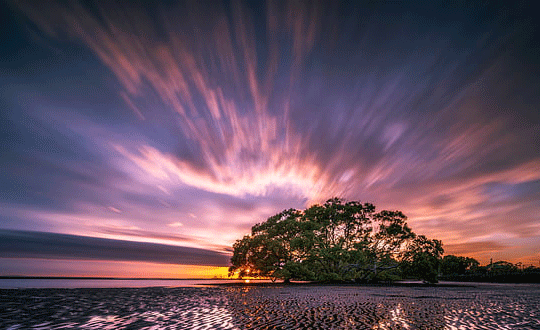 女孩新颖有涵养的名字2020