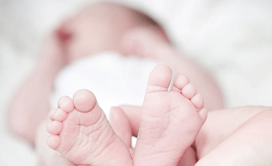 好听的沈姓女孩名字大全