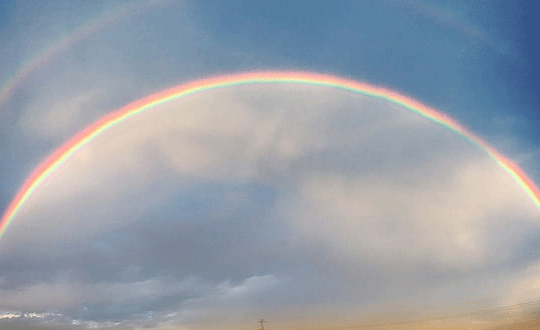 好听的戴姓女孩名字大全