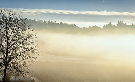 名字大全2020属鼠宝宝