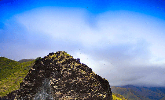 家族名字大全霸气