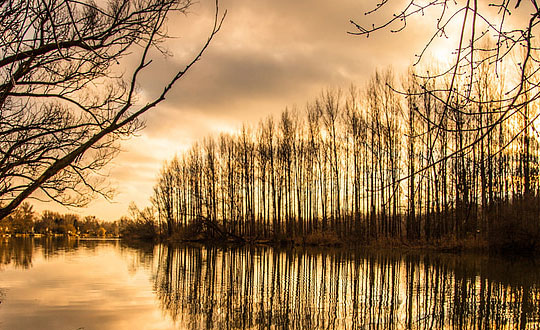 剑灵名字符号大全