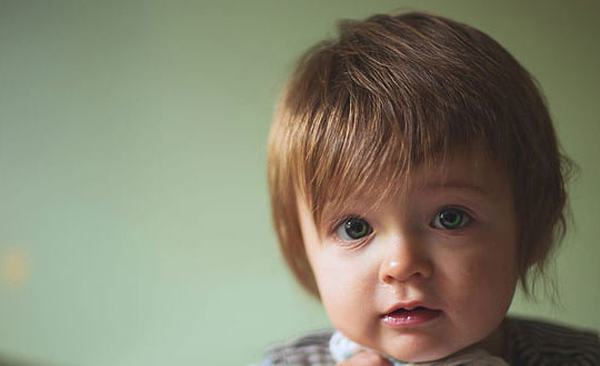 宠物小精灵游戏,宠物小精灵游戏名字大全