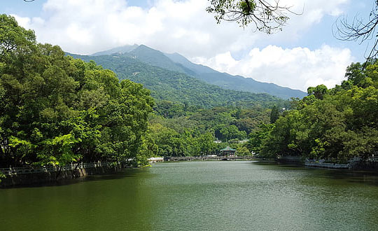 2020狗年出生谢姓女孩起名技巧