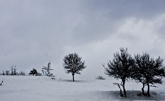 个性的游戏角色名字大全