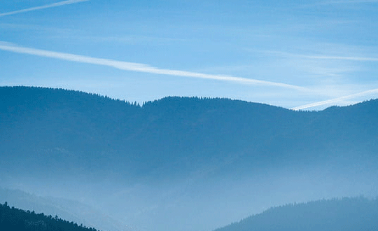 阴阳师名字大全