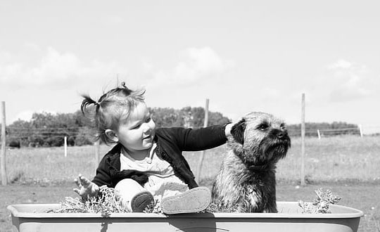 姓肖的宝宝名字大全