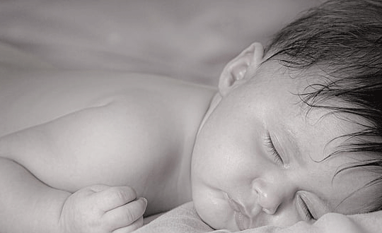 适合女生取名的诗句