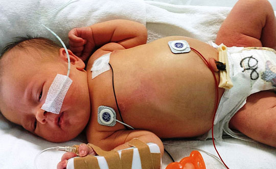 独特内涵的宝宝名字，新生儿名字大全：文雅吉祥的女孩名字