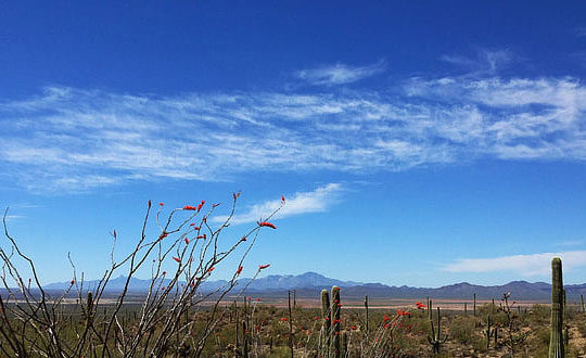 新生儿宝宝起名大全,起名网生辰八字取名