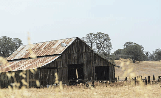 又顺利又有财气的网名