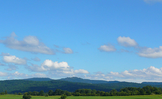 男女通用的小名鼠宝宝