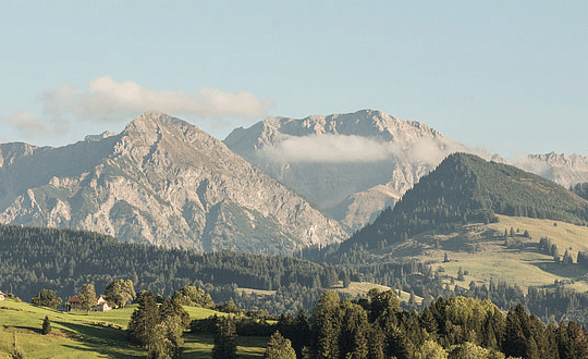 扣扣分组4个分组霸气