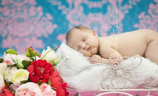 最好听的英文名字女孩