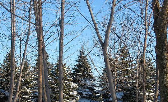 最好听时尚洋气的女宝宝名字大全:清新自然