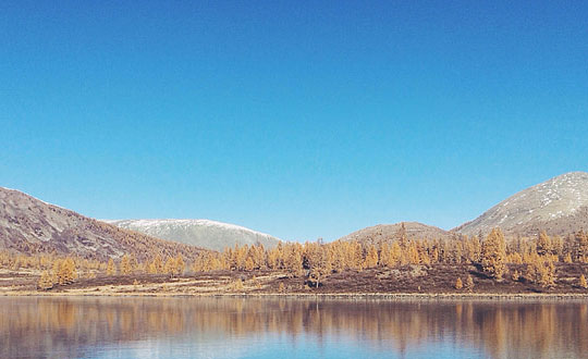 女孩诗词起名好听洋气的名字