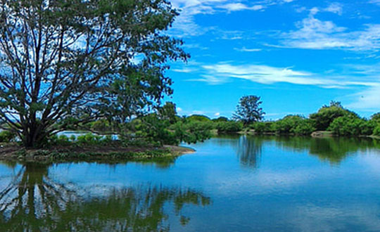 好听有诗意的女孩宝宝名字