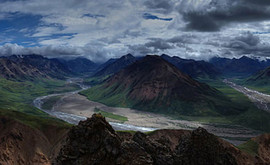 女宝宝缺木取什么名字好：唯美洋气