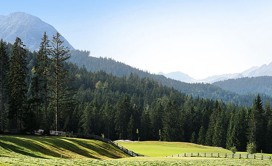 超好听的女宝宝名字清新脱俗:按生肖取名字