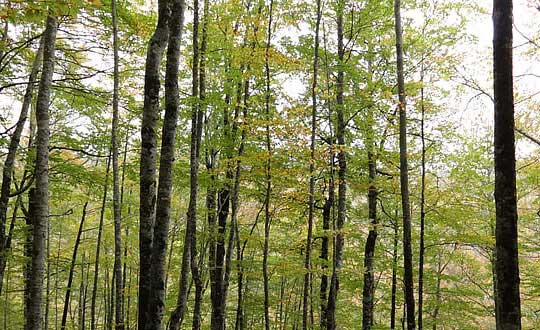 洋气有涵养的女孩名字大全:取名思路和小技巧