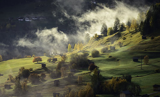 女孩木字旁吉利的名字 五行取名属木适合女孩的字:单字推荐
