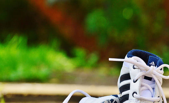 属木的女孩名字大全集