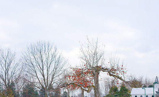 独特女孩名字,起名字大全女孩100分：起名方法和技巧