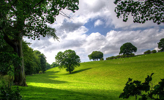 寓意美好的女孩名字,女儿取名字大全:独特经典