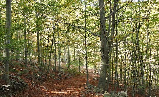 好听儒雅大气的女孩名字大全