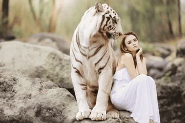 家族名字大全有2个竖符号的