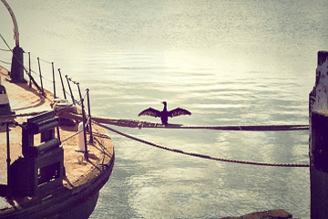 有内涵的霸气的公会名