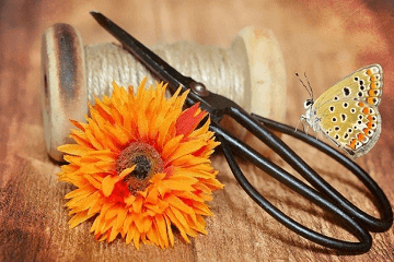 闷骚又贱的游戏名