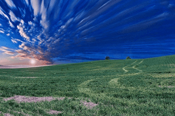 高冷的英文名女生简短