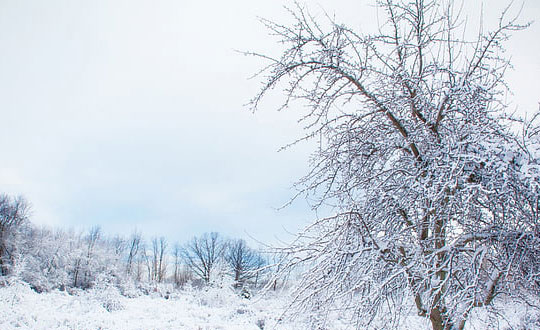 朱姓男孩有诗意的名字