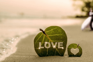 家族名字简单又吸引人一个字