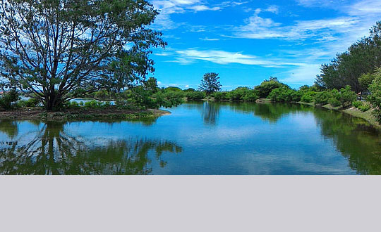 国学起名寓意好