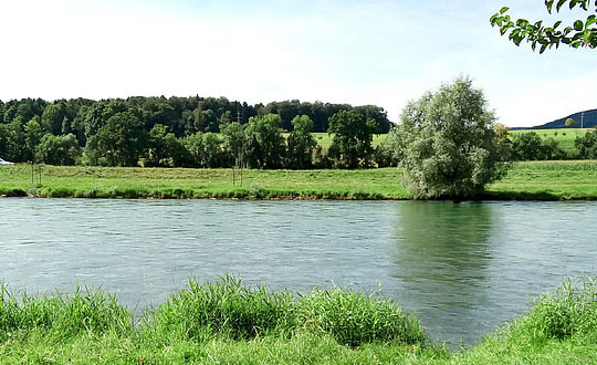 新生儿取名字,独特内涵的名字：应用成语起名