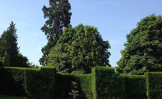 男孩宝宝取名文雅有诗意的名字精选:独特经典