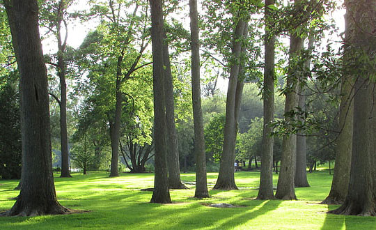 好听的男孩名字古风,起名字大全男孩:起名方法和思路参考