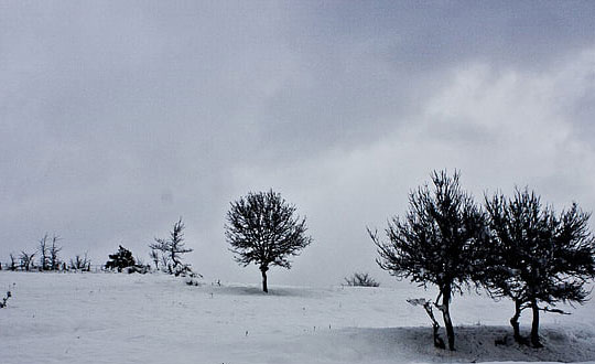 楚辞中的古风诗意男孩名字大全